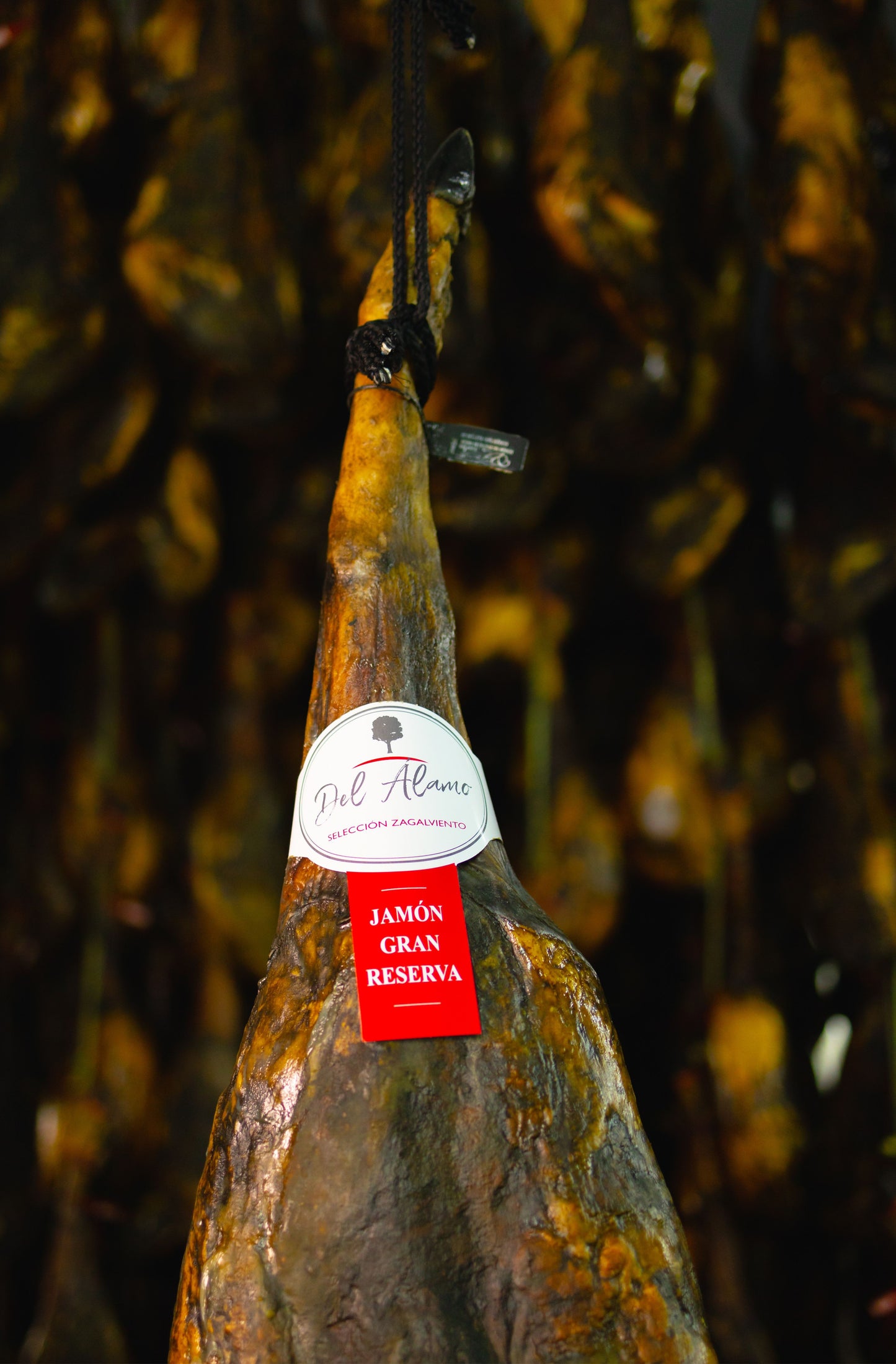 Jamón Ibérico Bellota