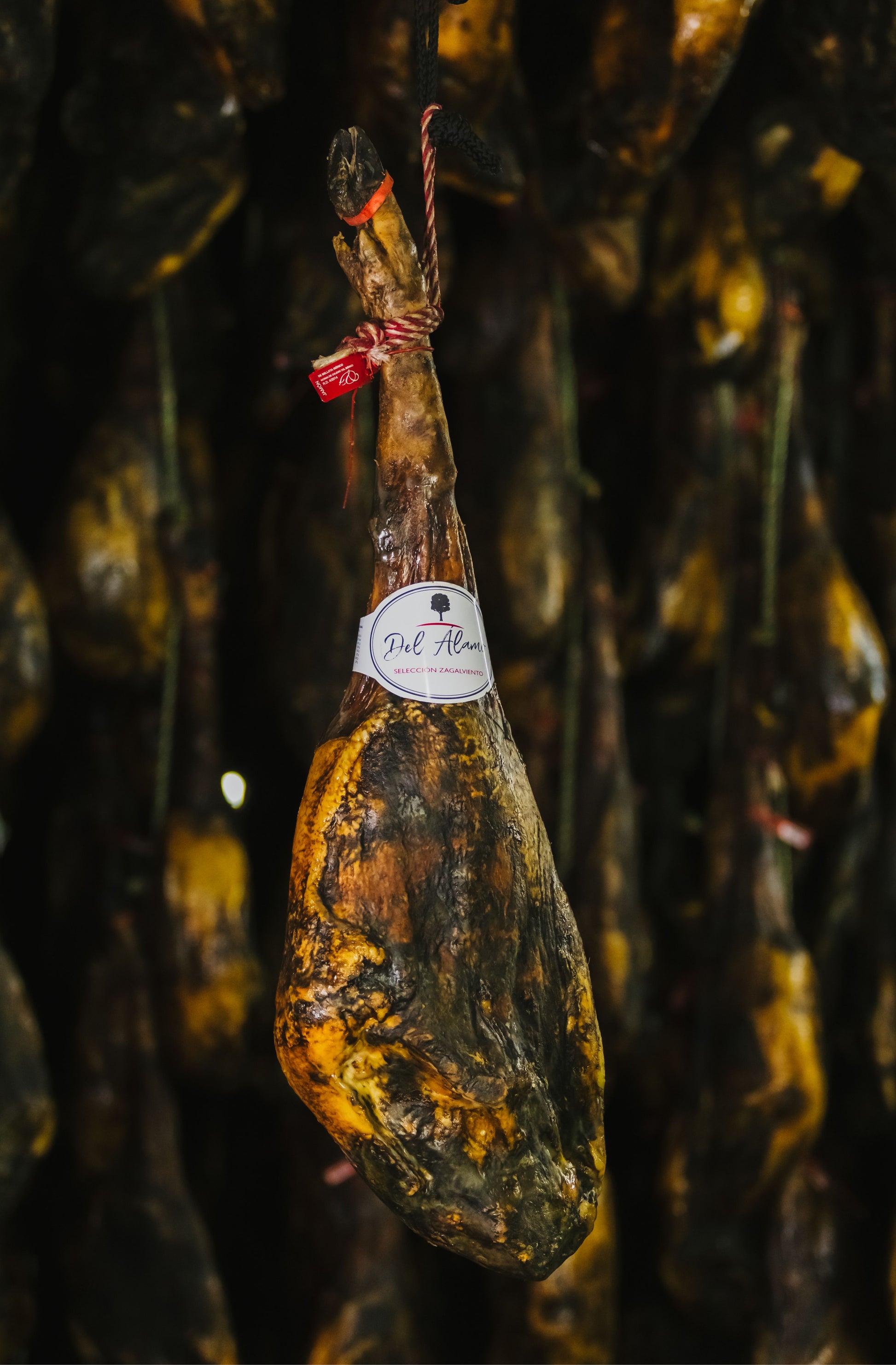Jamón Ibérico Bellota