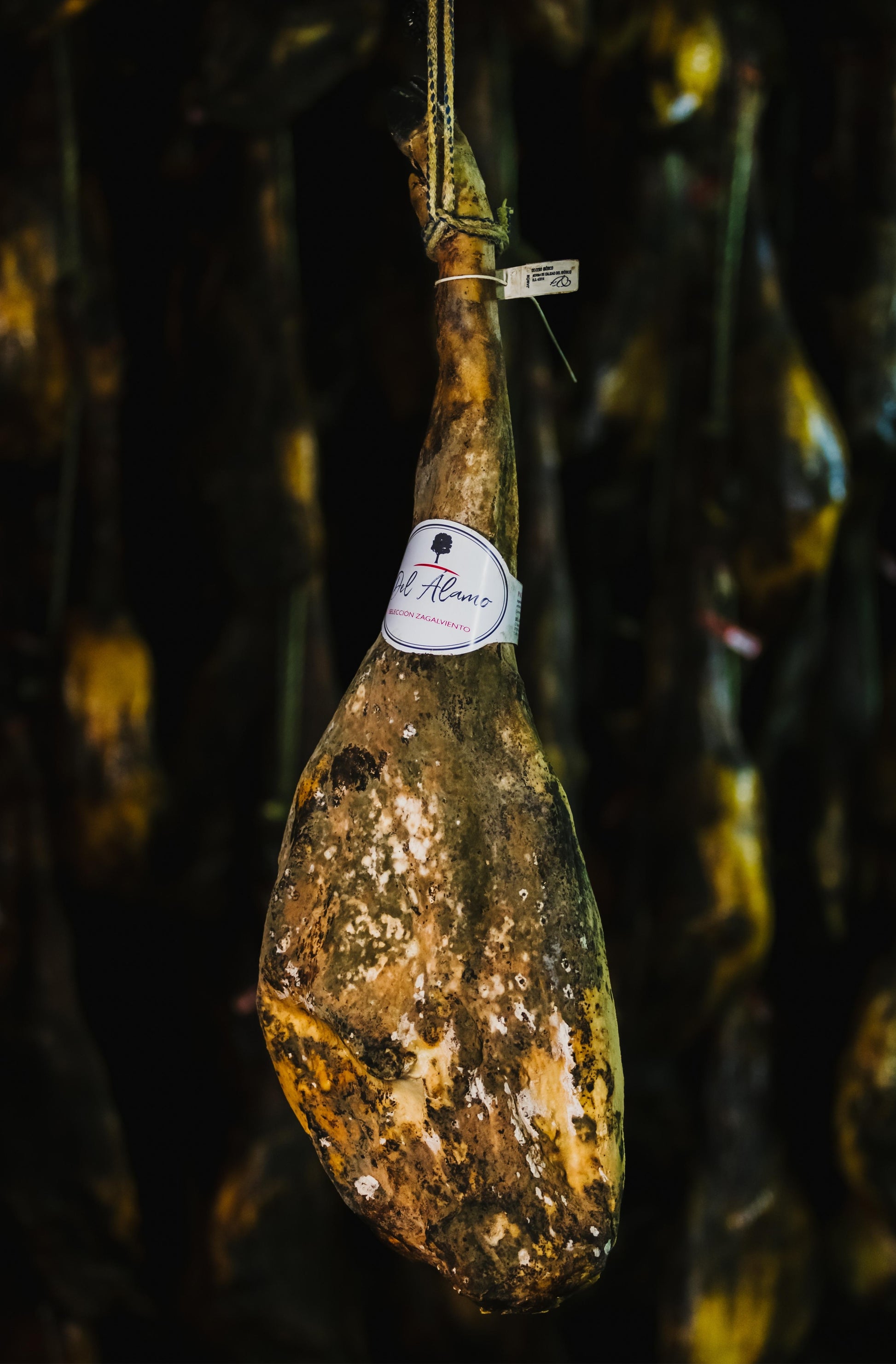 Jamón de Cebo Ibérico