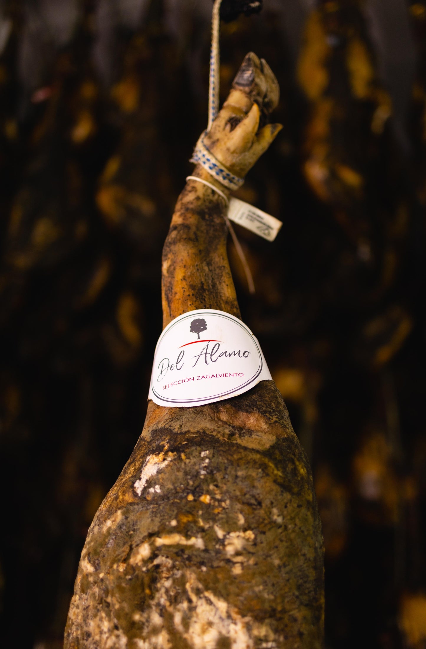 Paleta de Cebo Ibérico