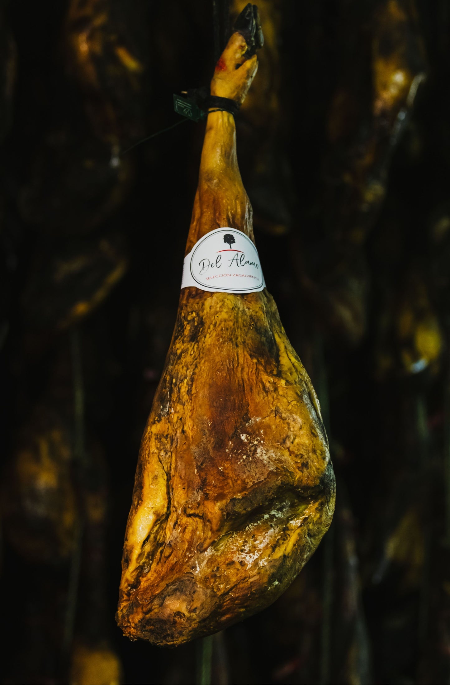 Jamón de Cebo de Campo Ibérico