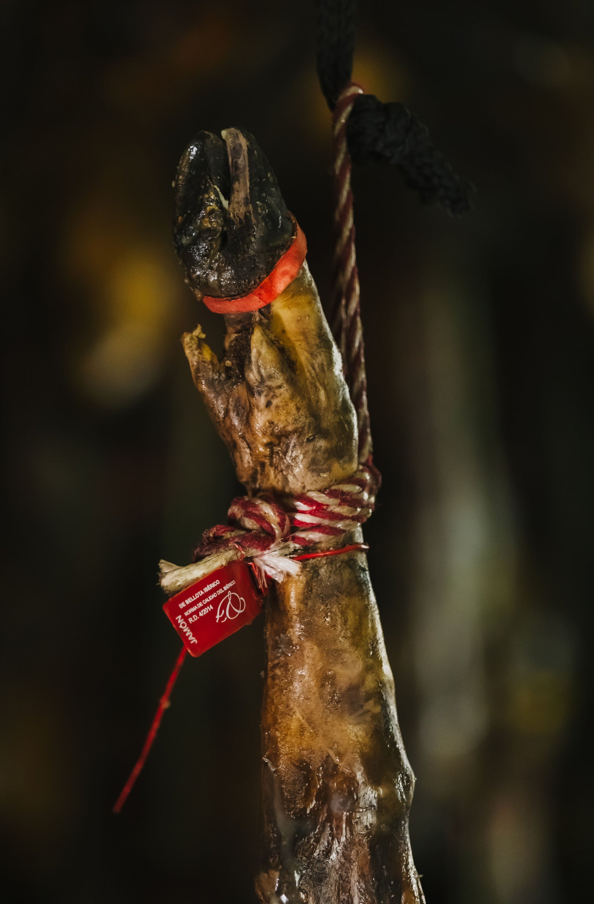 Jamón Ibérico Bellota