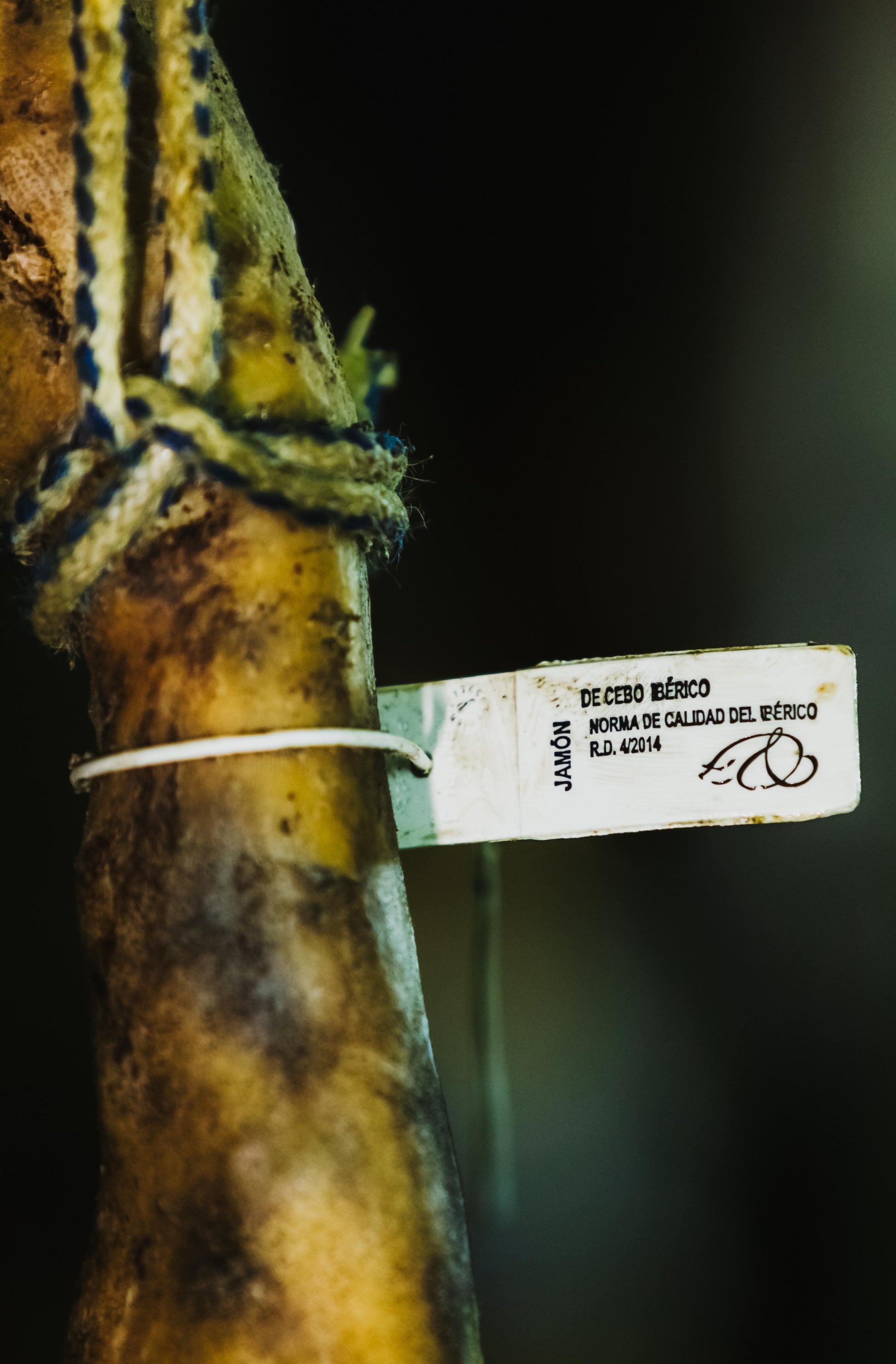 Jamón de Cebo Ibérico