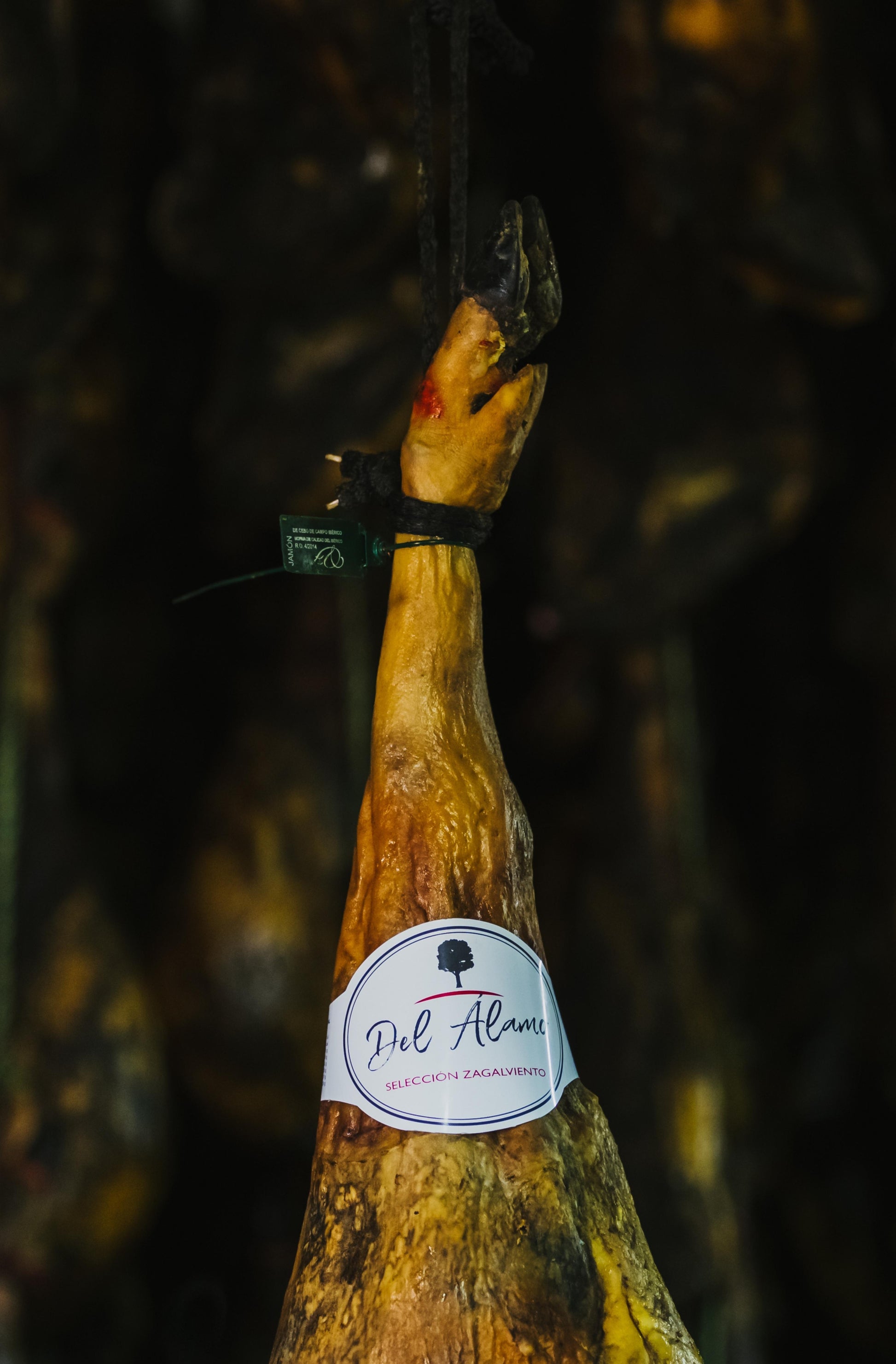 Jamón de Cebo de Campo Ibérico