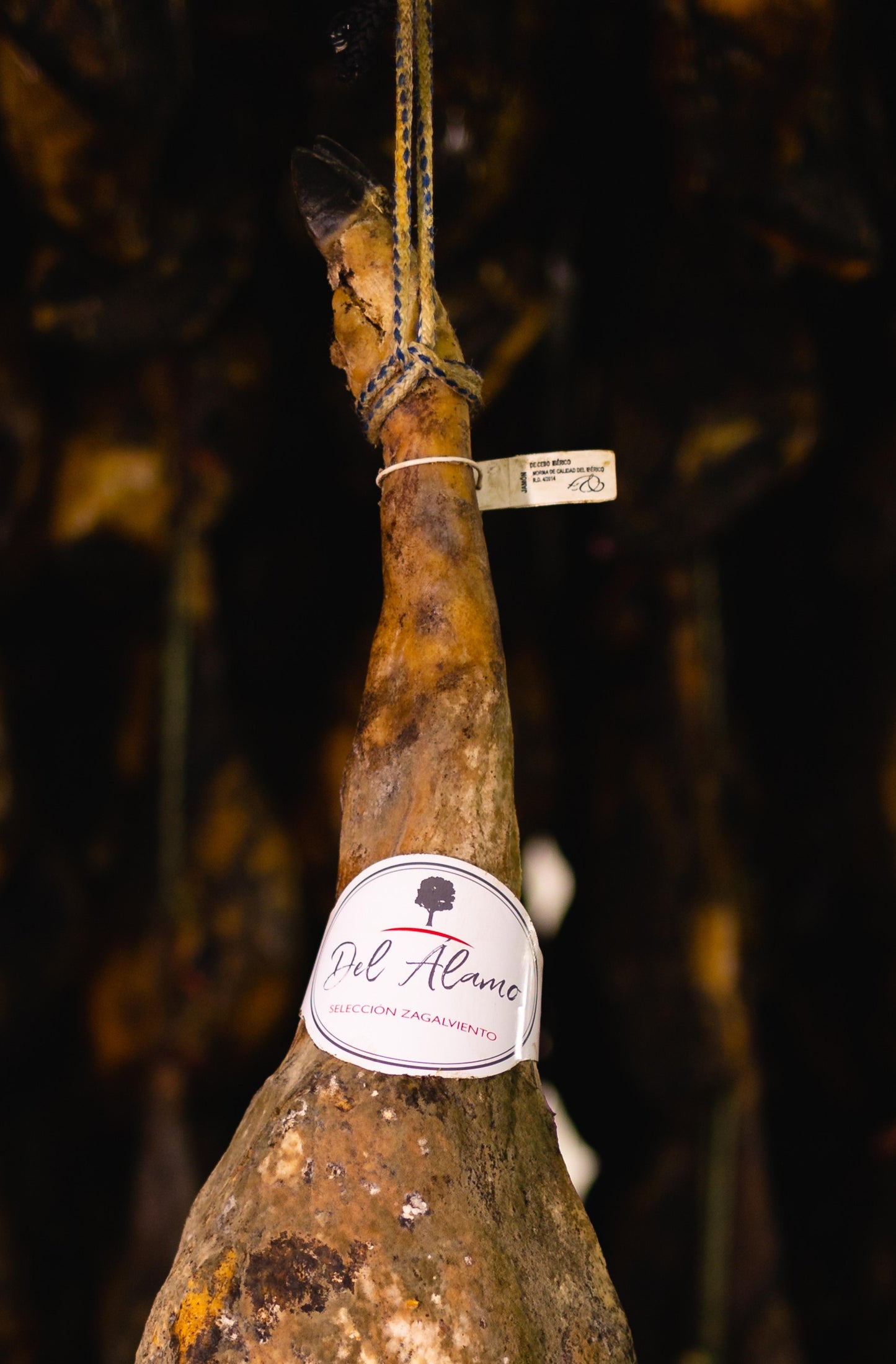 Jamón de Cebo Ibérico